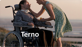 Terno